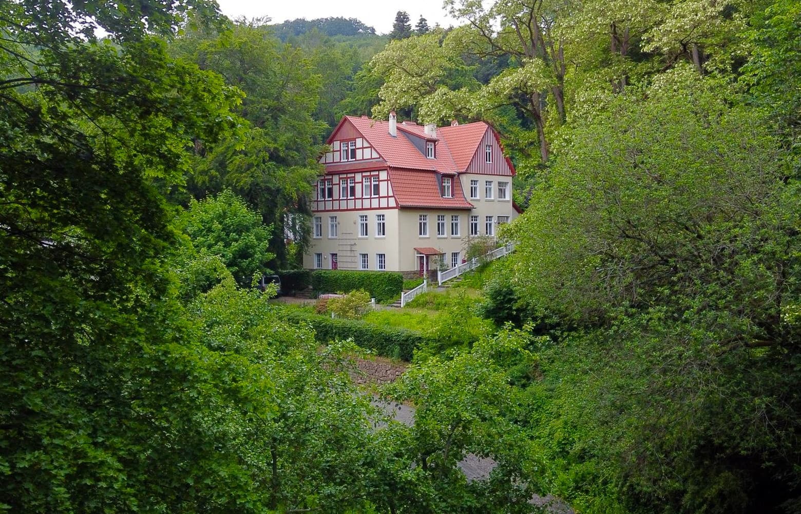 Inspiring feel-good villa in the middle of the forest