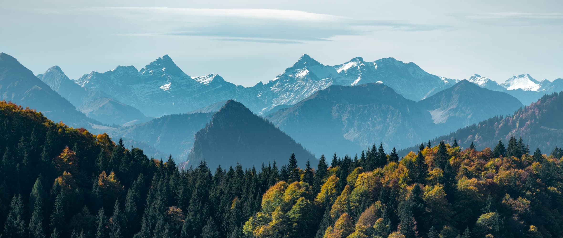 Die Kraft der Natur für die Kreativität im Team feature image