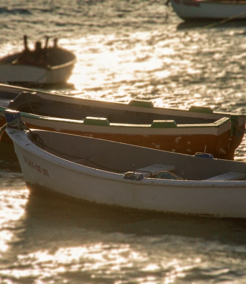 Boat tour