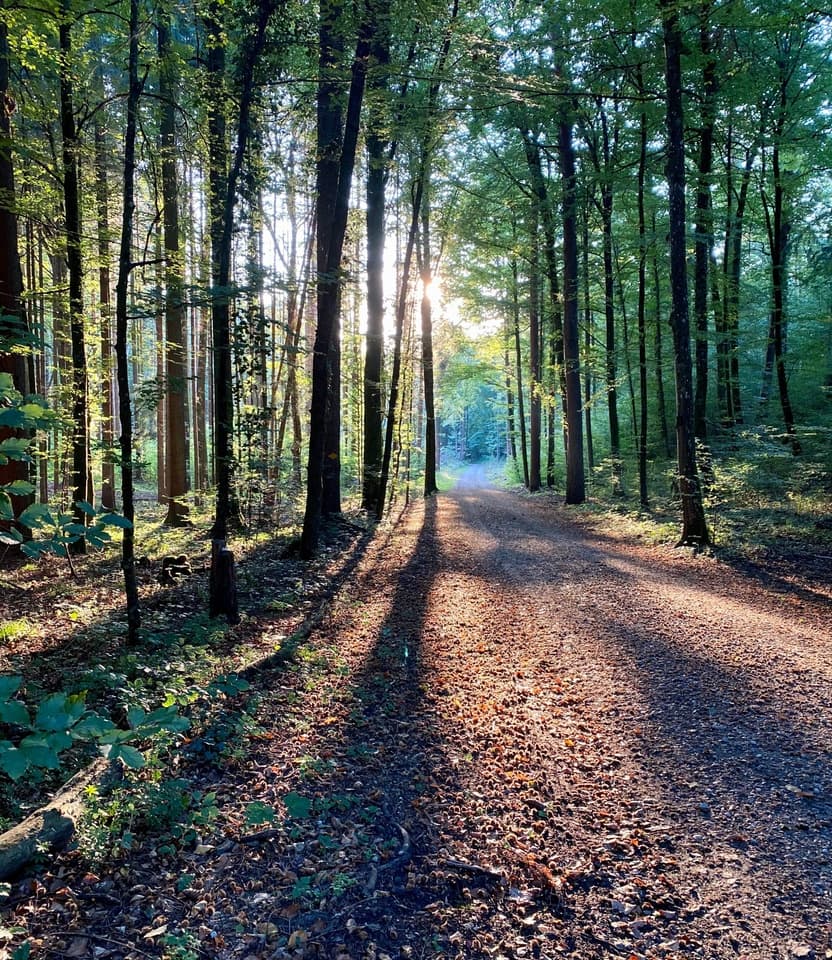 Geführte Naturwanderung